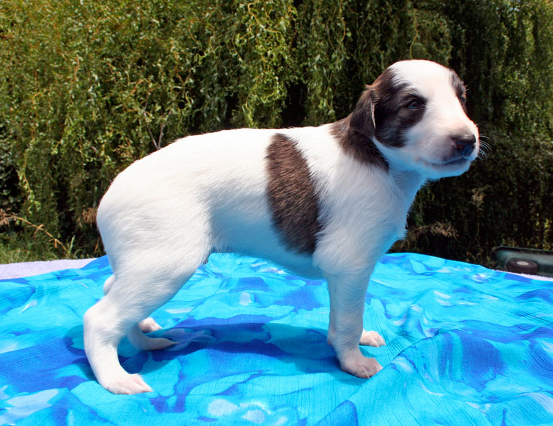 Surf Spots - Boy 1 Right